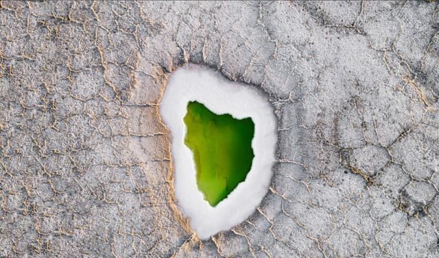  计划|来不了新疆，没关系，我们还有大西北！| 沙丁鱼计划