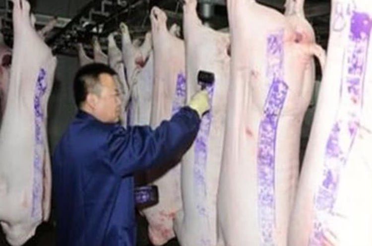 印章|吃过了那么多猪肉今天才知道,猪肉印红章和蓝章也是有区别的