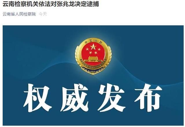 刑事|昆明市中级人民法院刑事审判第一庭原庭长张兆龙被捕
