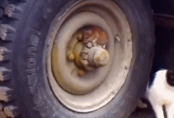  小区|男子费力撬开ATM机，打开瞬间傻眼：里面竟是…哈哈哈