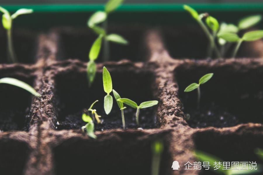  指点|十月上旬开始，好运围绕，贵人指点，富贵双全的生肖