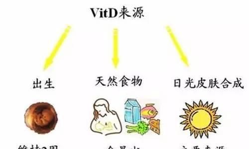 补才|维生素这么多种，宝宝怎么补才正确？看看营养师怎么补