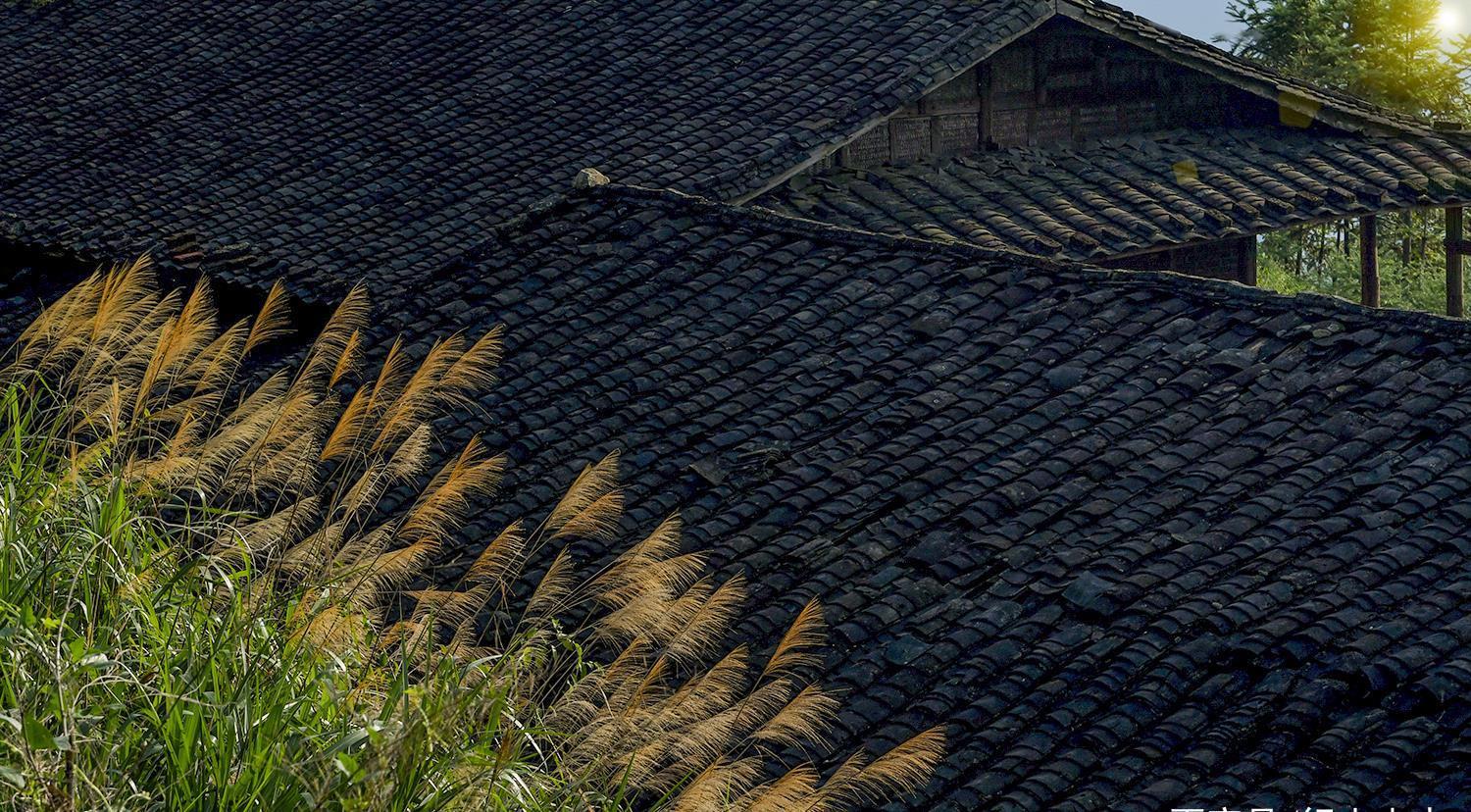 蛤蟆|养在深闺的联合梯田，蛤蟆一跳过三丘