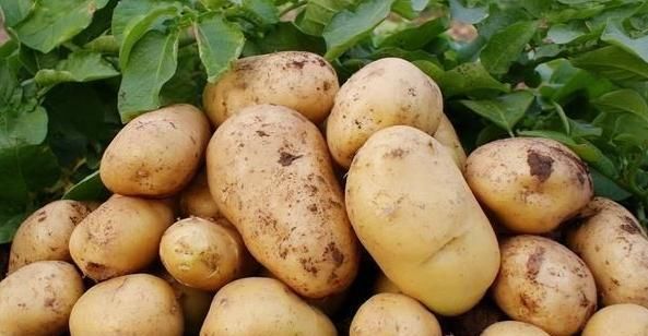  水中|想要快速去土豆皮？厨房阿姨来告诉你，简单快速又省事