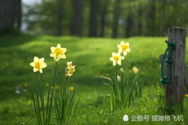  生肖|七月开始：财运如火如荼，处处遇贵人，来喜又来财的生肖