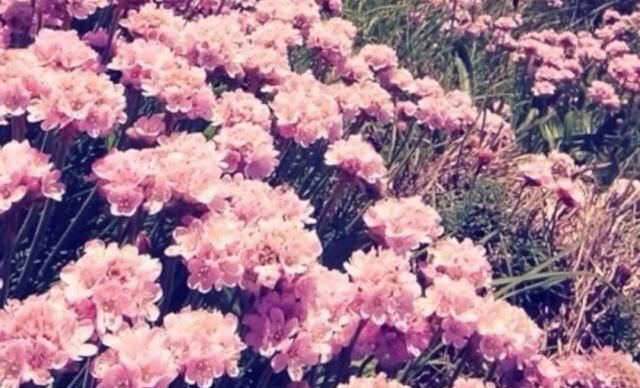 神秘莫测|喜欢“伪装”自己的星座, 不轻易袒露内心, 让人觉得神秘莫测