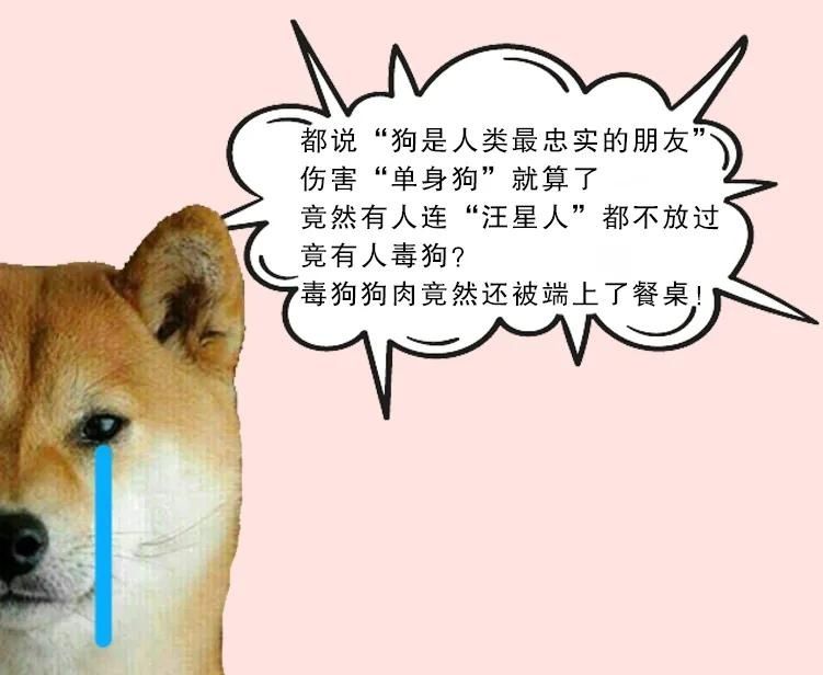 并处罚金人民币|毒狗卖了4.7万，判赔47万……