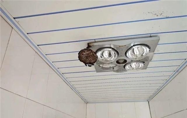  用杀虫剂|吓人！黄岩多位市民家中发现马蜂窝，大如脸盆