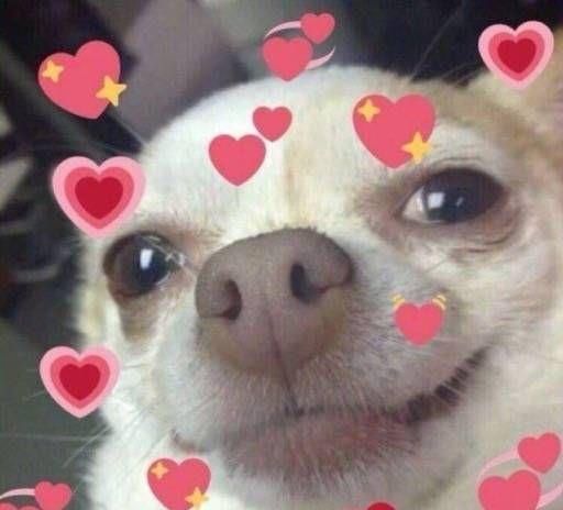  销售额|千万销售额女神助力杨木村 村民直播成绩斐然