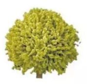 1毫克|一家9口聚餐，7人身亡！最新详情披露