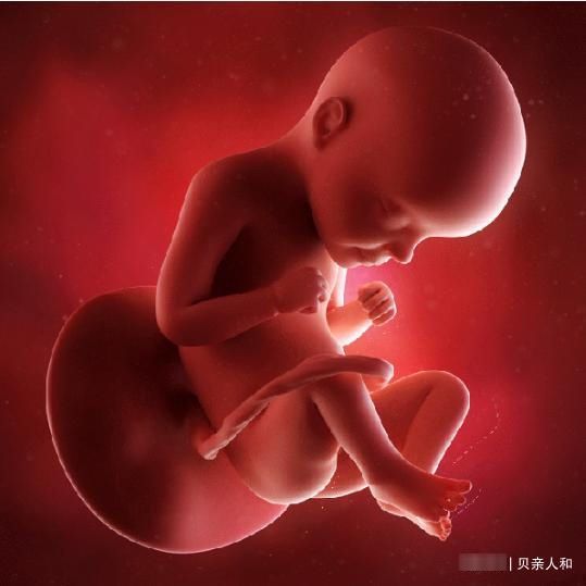  不到|试管婴儿对女人的伤害，不到万不得已不要尝试