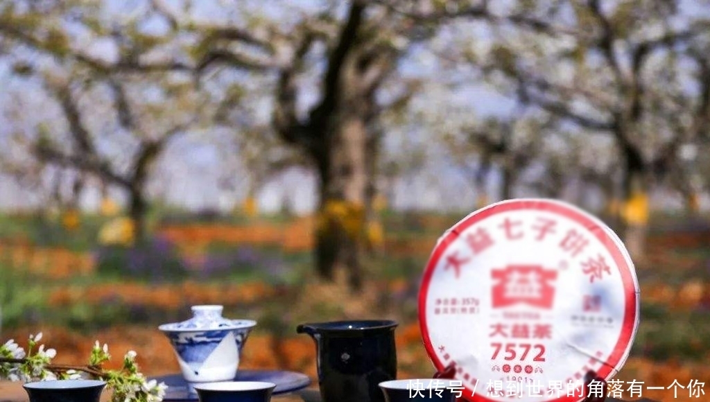 意义|王者之风！大益熟茶奋斗的进化史，每一款都意义非凡