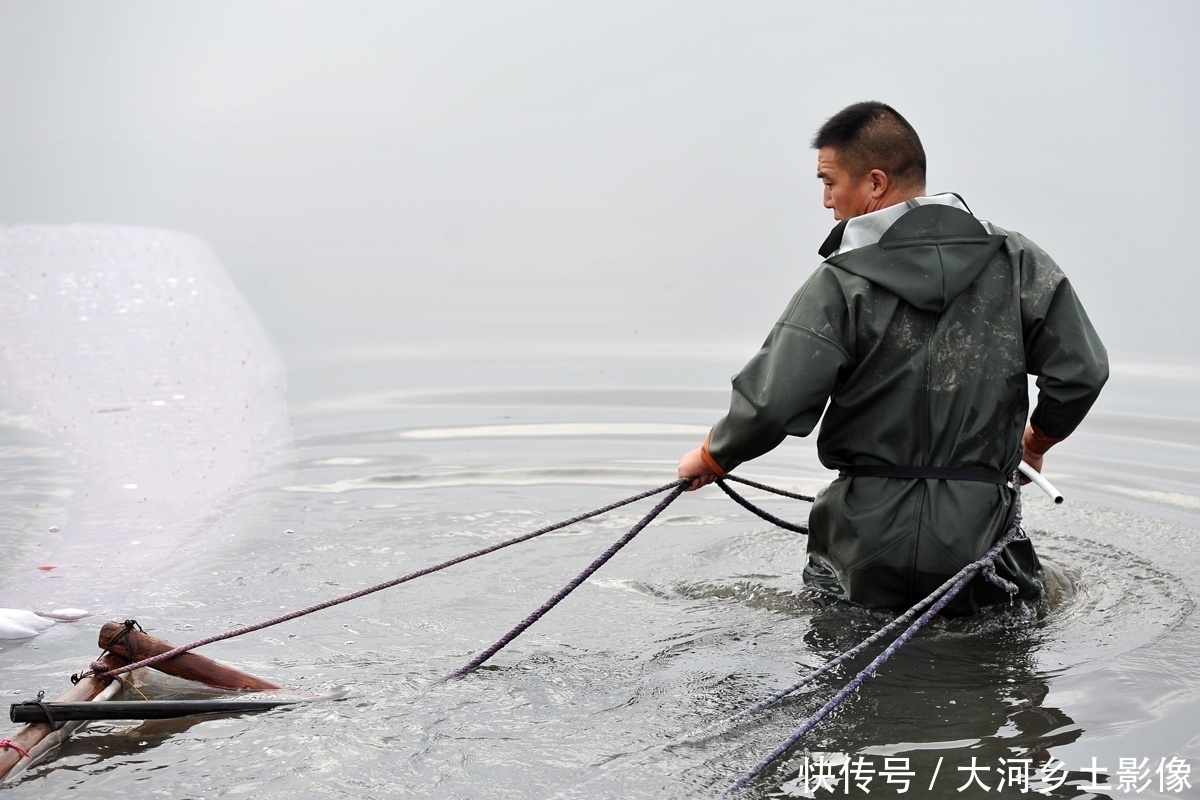  男子|男子每天清晨跳进盐池捞虫，拖20米纱网，一天干3小时挣200元