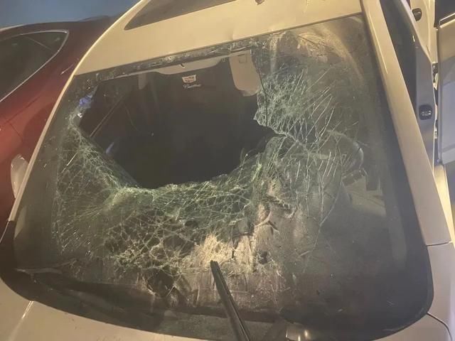  犯罪嫌疑人|80％车主不了解：“天灾人祸”致车损这样报案可全赔，一种情况请迅速报警