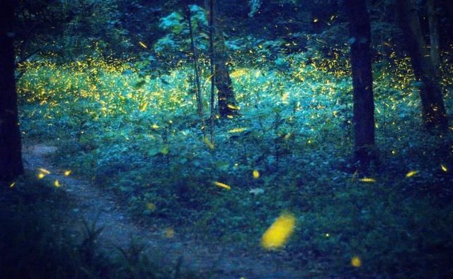 炽热|大暑：炽热炼心 清风自生