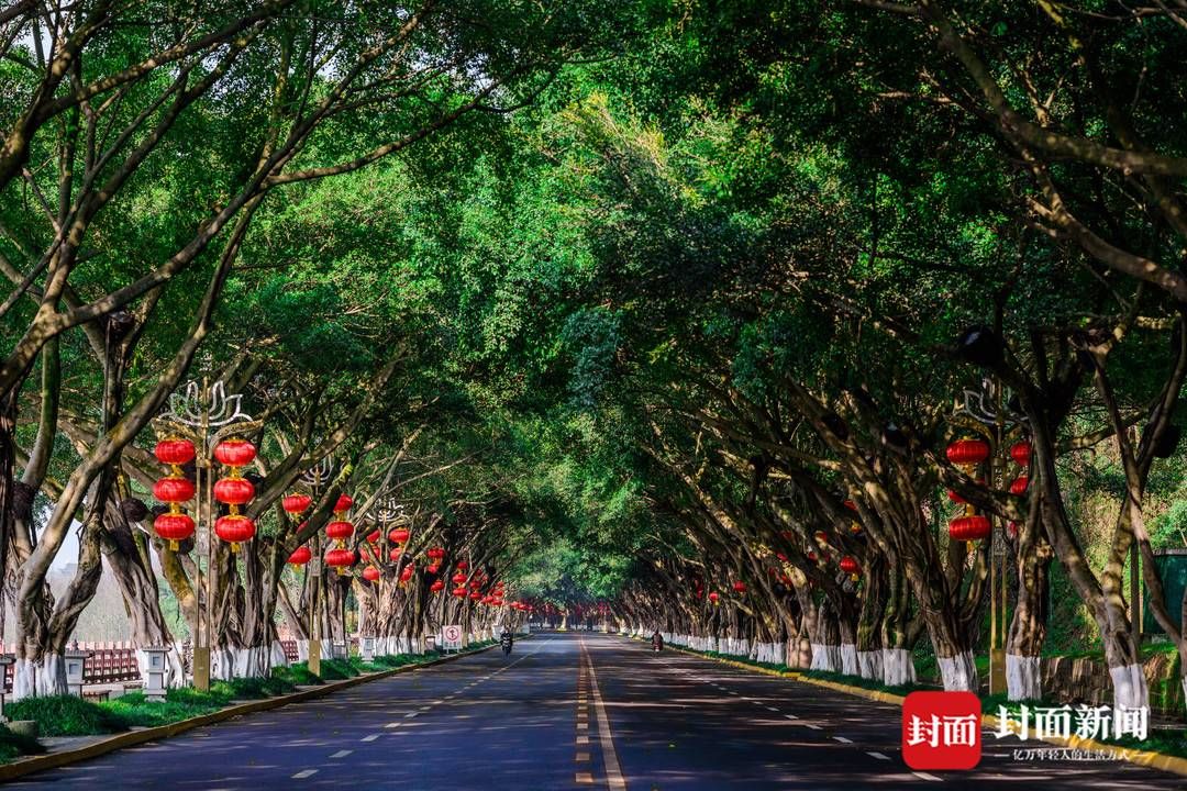 乐山|7月29日起 四川乐山大佛景区凌云路片区分段封闭施工