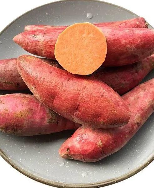 收集|就在明天!海沧 “丰收集”!