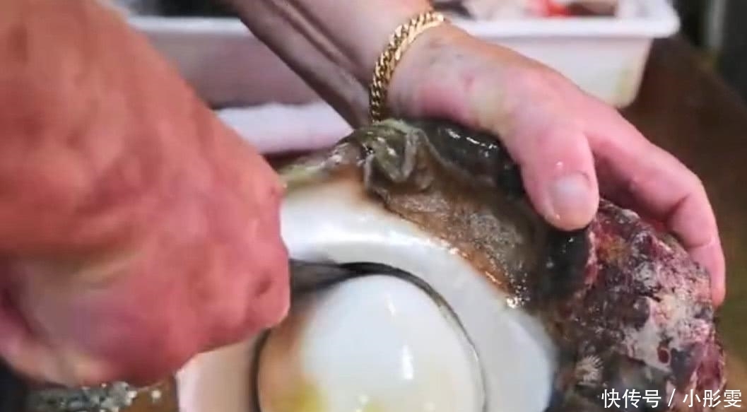 渔民|米其林厨师用刀“豪取”螺肉,渔民看到后怒了:不懂就别瞎做!