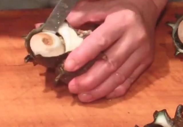 却特别|日本人现场处理“海螺”，做法很独特，味道美味还很香