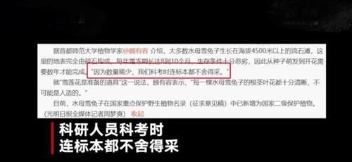  相关|刘宇宁采雪莲一事被定为案件，相关部门正在彻查，背锅背到“牢里”去了？