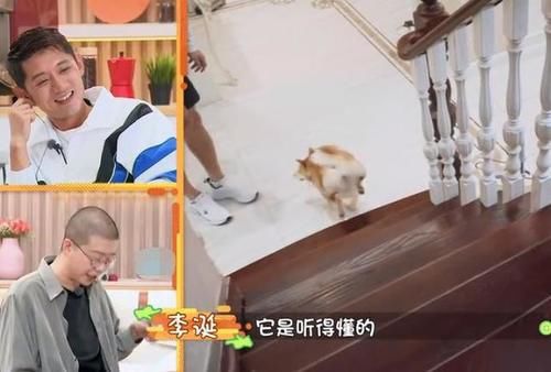  别墅|张继科家别墅接地气，拿院子养鸡种菜，家里放球桌，跟住农村一样