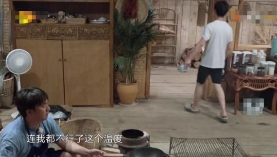  孙莉|《向往的生活》安逸假象曝光，黄磊厨房更像炼钢炉，孙莉劝他退出