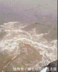  表白|“第一次进厂，怎么追黑衣服的这个女孩？”哈哈哈哈哈哈哈大胆表白