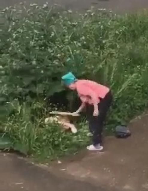  大妈|俄一对情侣草丛缠绵，被愤怒的邻居大妈用木板狠打严厉教育