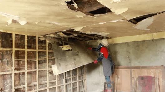  李子|她用3年时间爆改老宅，把荒地变花海：原来除了李子柒，我们还有另一种田园牧歌