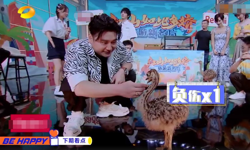  天天向上|《天天向上》挑战百斤湖笔，钱枫果断“坑弟”，王一博躲得飞快