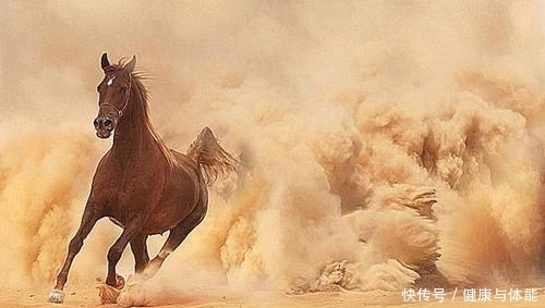  知识|马为什么白天黑夜都站着，睡着了也不躺下？看完算是涨知识了