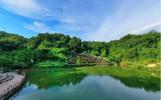  古寺|私藏厦门高颜值养生线路，有森林大海，有温泉古寺……提前收好，换季可用！