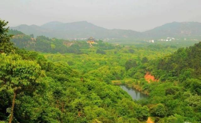 风林|风林：被盗的黄丕烈墓