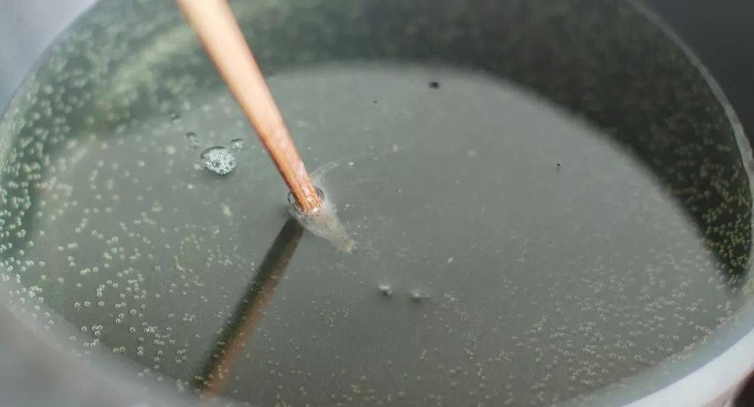 肉块|没胃口时，第一个想吃的就是它！