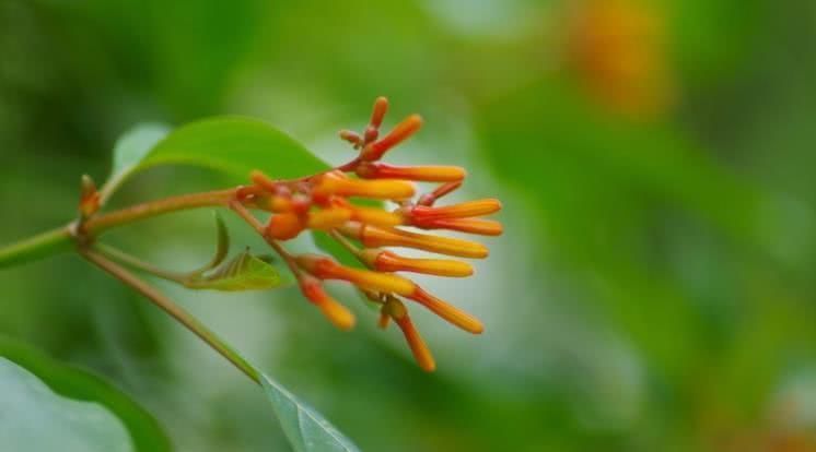  高涨|7月开始财气大旺，好事连连，贵人指路，收入高涨的四大生肖