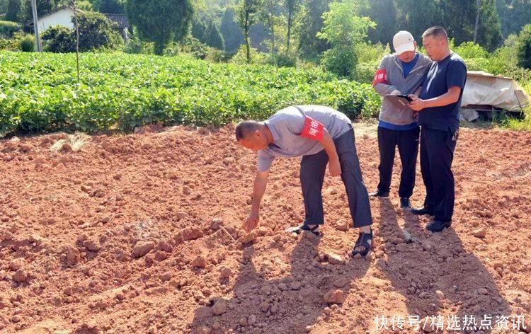 四川苍溪：重拳出击 强力推进违拆复垦