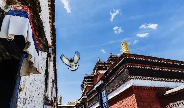  旅行|西藏旅行全攻略：关于气候、交通、饮食、购物、文化…快收藏