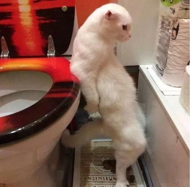  教室|开心一刻：我刚走出教室，几个老师在里面笑的合不拢腿