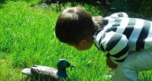  商场|男孩在商场对一条“尾巴”耿耿于怀，摸了又摸的举动太可爱：懵了