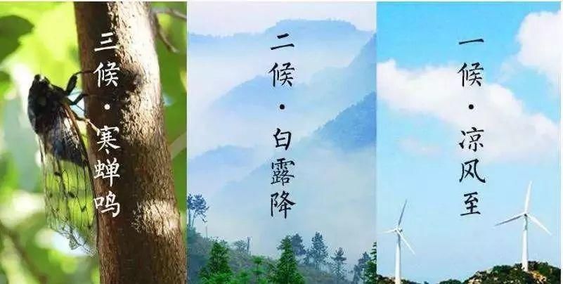  今日|时令 | 今日立秋！还会热吗？