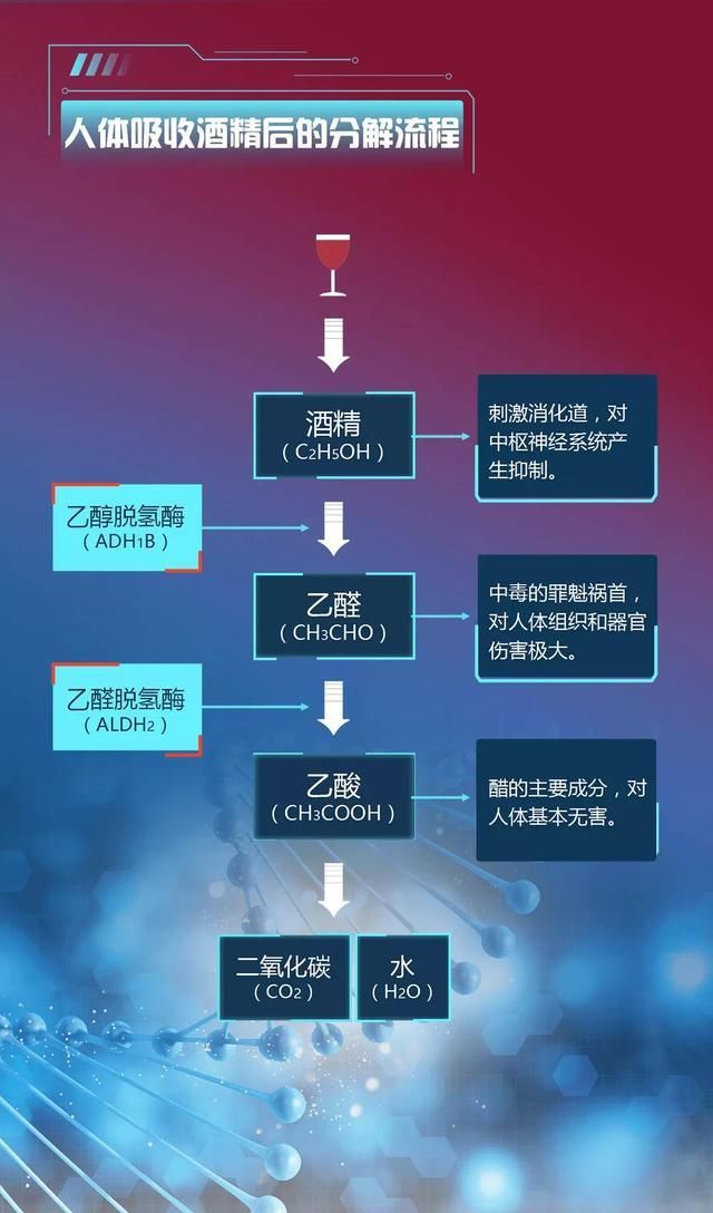  中毒|喝酒脸红竟然是因为中毒？！转给喝酒的朋友