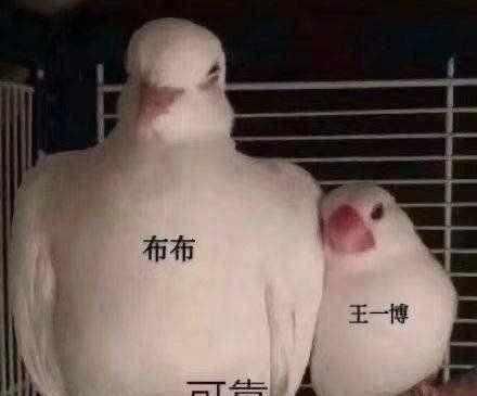  街舞|（街舞3）热度超（浪姐）王一博排名第四，引发公众不满？你怎么看