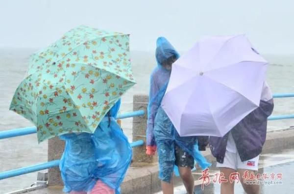 6到7|重要提醒！青岛将有暴雨局部大暴雨！