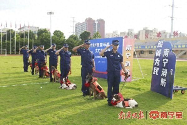 别了，汪汪队！南宁消防7条搜救犬退役到“新家”