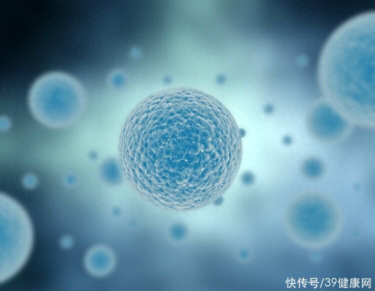 饥饿可以让新细胞吞噬老细胞(饿一饿能多活20年？科学家发现：饥饿时，细胞会自己“吃掉”自己)