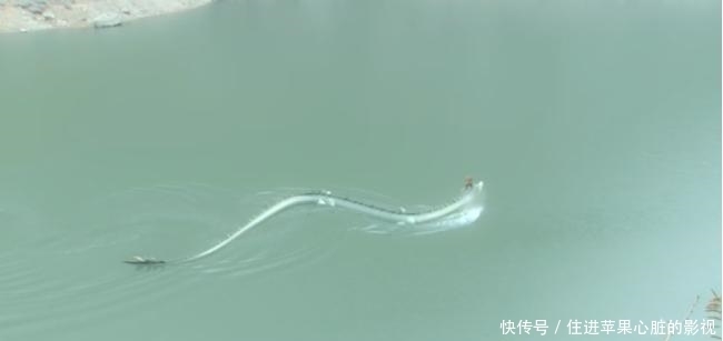 俗语|马王爷是谁?为何会有三只眼睛?又是如何受百姓青睐的?