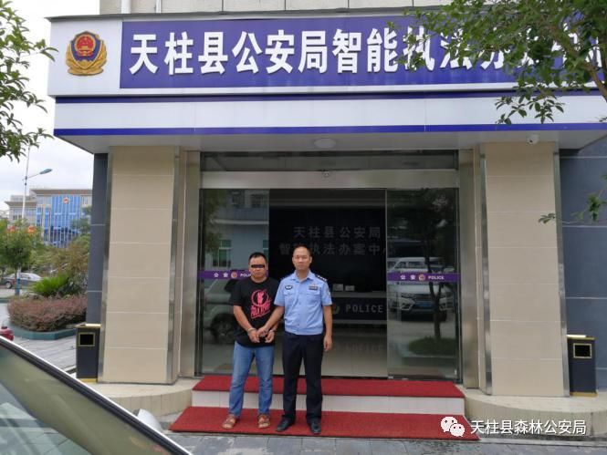 天柱|天柱森林公安破获系列滥伐林木案