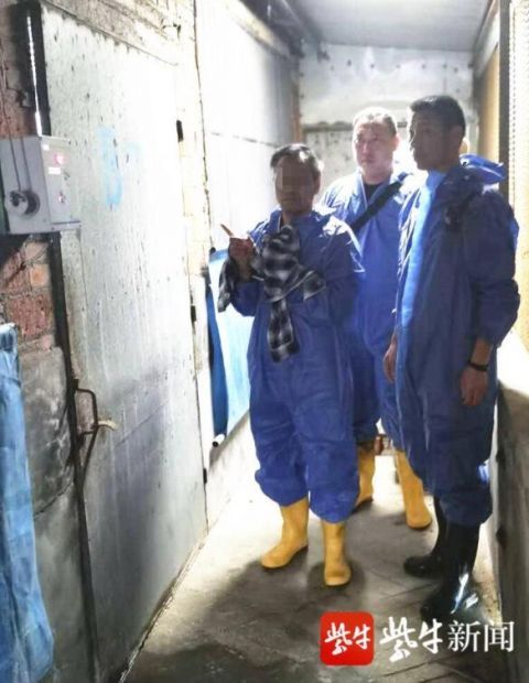 进驻|深夜，偏僻猪场内28头价值10万元的小种猪被盗，警方进驻一周“揪”出内鬼