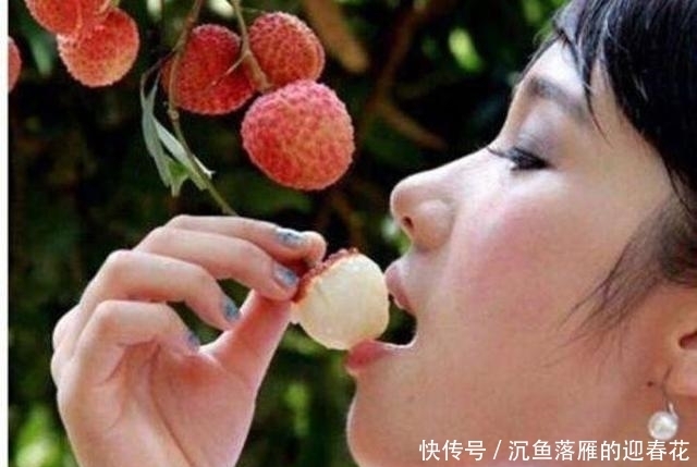 福建|在福建任职的大臣想让雍正品尝到鲜荔枝, 突发奇想, 让人叹为观止