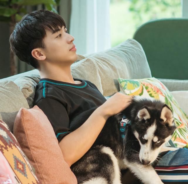 命中注定|又一甜宠剧来袭，上线两天破千万播放，不输《命中注定》我追了